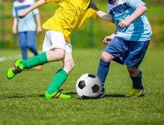 杨乐乐分享,与汪涵婚姻,感悟,宝盈,宝盈APP,宝盈官方,宝盈官网,宝盈入口,宝盈登录,宝盈链接