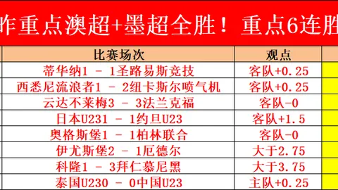 西部飞跃助力，青年志愿服务共促高质量发展之路